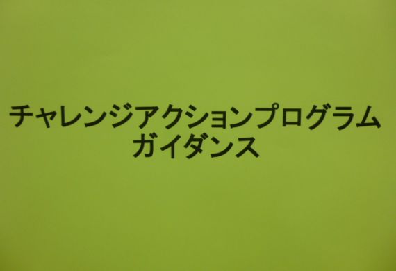 2013年1月22日：成果発表